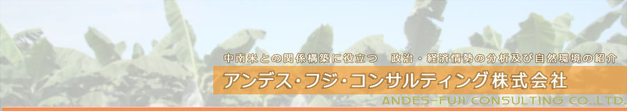 �A���f�X�E�t�W�E�R���T���e�B���O�������